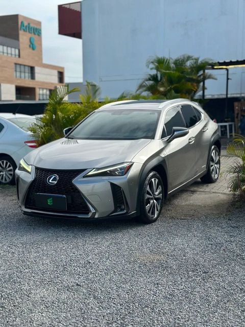 Lexus UX 250h na cor cinza, vista dianteira em três quartos (foto 1 de 20)