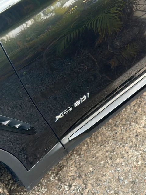 BMW X3, emblema